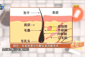 经常剃头，可以让宝宝头发越长越好？这是真的吗？视频封面
