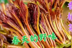 老婆想吃香椿芽老公安排，简单做法3分钟出锅，老婆直呼太好吃了视频封面