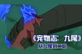宠物志：九尾，原来九尾并非憎恶的集合体，也是最感性的尾兽视频封面