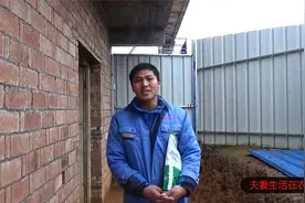 养猪户用这个土办法给猪猪催肥，可以提前20天出栏视频封面