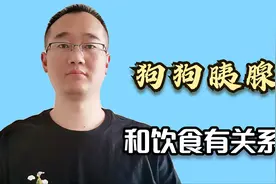 长期饲喂这2种食物，有这2个坏习惯的狗狗，最容易患胰腺炎视频封面