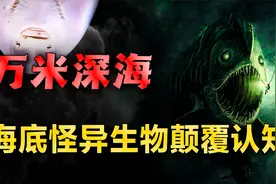 盘点海洋奇异生物，神秘的超深海区域，仍隐藏着上万种未知生物！视频封面