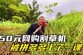 四川单身男荒岛修茅草屋，150元网购割草机，又被拼多多上了一课视频封面