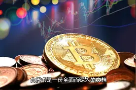 发现去中心化的力量：理解比特币白皮书视频封面
