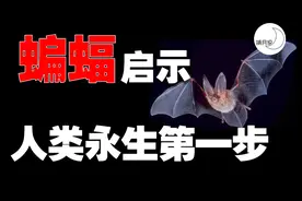蝙蝠为何能与病毒共生？问题的答案可能使人类永生！视频封面