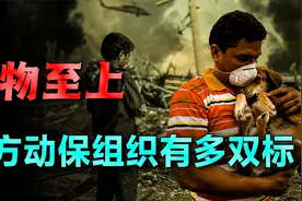 指责中国人吃肉不环保，西方人吃饱了没事干？极端的动物保护组织视频封面