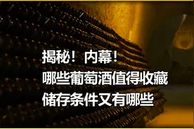 哪些葡萄酒值得收藏
储存条件又有哪些视频封面