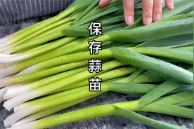 蒜苗吃不完，这样保存蒜苗，不腌不晒，不变色不变味很新鲜视频封面