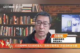 白岩松呼吁关注农村老人：农村空巢率高，养老金杯水车薪视频封面