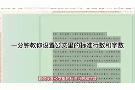 第2集.公文里标准行数和字数要求和设置方法视频封面