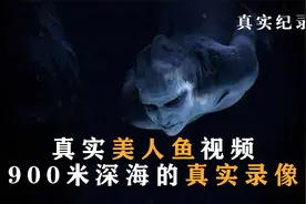 专家在海洋深处拍到美人鱼，新物种就此发现？纪录片视频封面