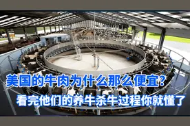 美国养牛杀牛有多先进？全自动机械化操作，难怪美国牛肉这么便宜视频封面