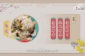清肝明目、疏风解表、清热解毒，菊花功效多，专家介绍|健康之路视频封面