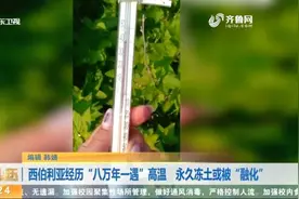 西伯利亚地区遭遇“八万年一遇”罕见高温，永久冻土或被“融化”视频封面