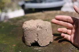 养花土壤变硬了怎么办？园艺师教你，用土壤活化剂，让土壤更疏松视频封面