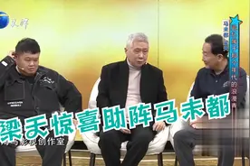 老朋友梁天惊喜现身，与马未都老师都属于同时代的人视频封面