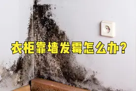衣柜靠墙容易潮湿怎么办？教你一招，解决柜体发霉问题视频封面