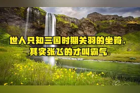 世人只知三国时期关羽的坐骑，其实张飞的才叫霸气.视频封面