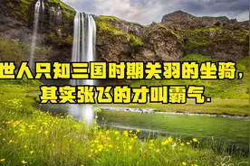 世人只知三国时期关羽的坐骑，其实张飞的才叫霸气.视频封面