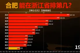 安徽省会合肥市经济增长迅猛！放在浙江能排第几？来看GDP对比视频封面