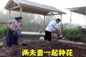 两夫妻一起给农家小院种上各种花草，配上拱门真是漂亮极了视频封面