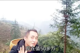 以前投入5000种树，现在值50多万，这50万我不想要了。视频封面