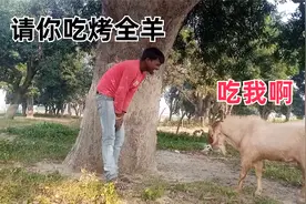 四川话搞笑配音：走，我请你去我屋的吃烤全羊！视频封面