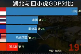内陆第一个发达省份实力如何？看湖北与四小虎GDP对比视频封面