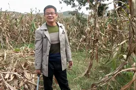 农村大哥16年自留玉米种子，还是70年代的老味道，为啥不卖种？视频封面