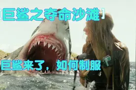 女医生大海潜水遭遇鲨鱼袭击，上演教科书式自救视频封面