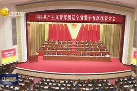共青团辽宁省第十五次代表大会开幕视频封面