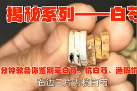 揭秘系列——白芍：4分钟教会你鉴别亳白芍、杭白芍、造假杭白芍视频封面