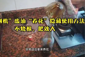比营养土好？！“抽烟机”废油养花隐藏使用方法，不烧根、肥效大视频封面