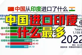 中国从印度进口什么最多？@DOU+小助手视频封面