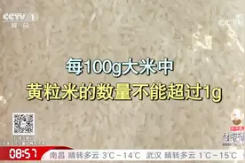 大米出现这种情况就不能再食用了，你家大米有这种情况吗？
