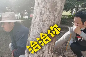 在公园随地大小便没人管，你看我咋治你，我让你下蛋！下蛋！视频封面