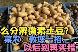 怎么分辨有激素的土豆？菜农：教您一招，以后别再买错了视频封面