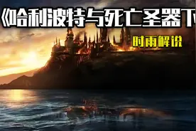 哈利波特迎来结局，所有伏笔都在这里揭开，历时8年冒险结束了。视频封面