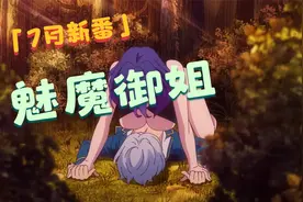 金装的维尔梅02视频封面