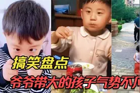 [盘点]萌娃学大人的搞笑场面：气势拿捏到位，一看就是爷爷带大的视频封面