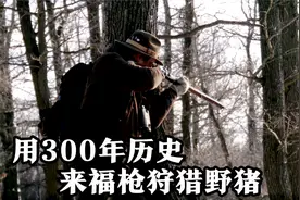 猎人使用300年历史的来福枪狩猎野猪，50米外效果令人满意视频封面