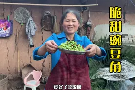 四姐上山背柴回来，做一道春日美食脆甜豌豆角，又脆又甜好下饭视频封面