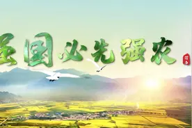 强国必先强农视频封面