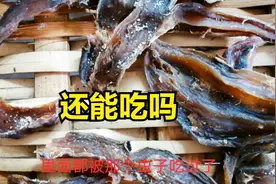 小吴妈妈晒得红薯干太多了，现在都长虫发霉了，好可惜还能吃吗？视频封面
