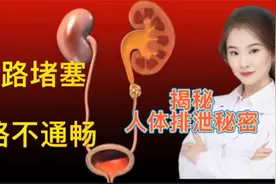 医学演绎人体尿道堵塞梗阻 尿路不通畅看医生如何疏通排泄视频封面
