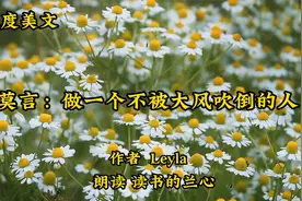 深度好文《莫言：做一个不被大风吹倒的人》，风雨来袭，我自立定视频封面