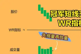 冠军短线交易，WR指标，资金异动视频封面