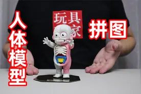 人体模型立体拼图！看着有点吓人啊，胆小的小伙伴千万不要玩！视频封面