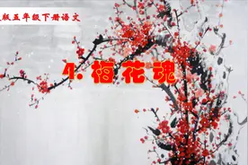 五年级下册语文《4.梅花魂》视频封面
