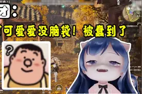【团团】自己把自己玩没了！见过卡BUG的 没见过卡jiao的视频封面